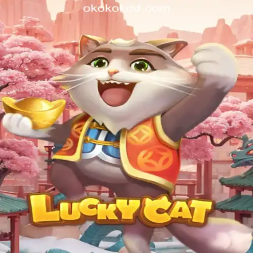 OKOKDD.COM Oficial Slots Brasil #1 Casino App